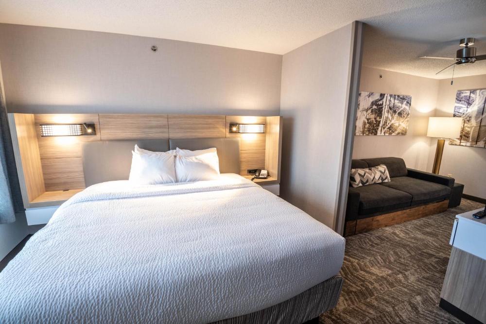 Suite, 1 King, Sofa bed interior