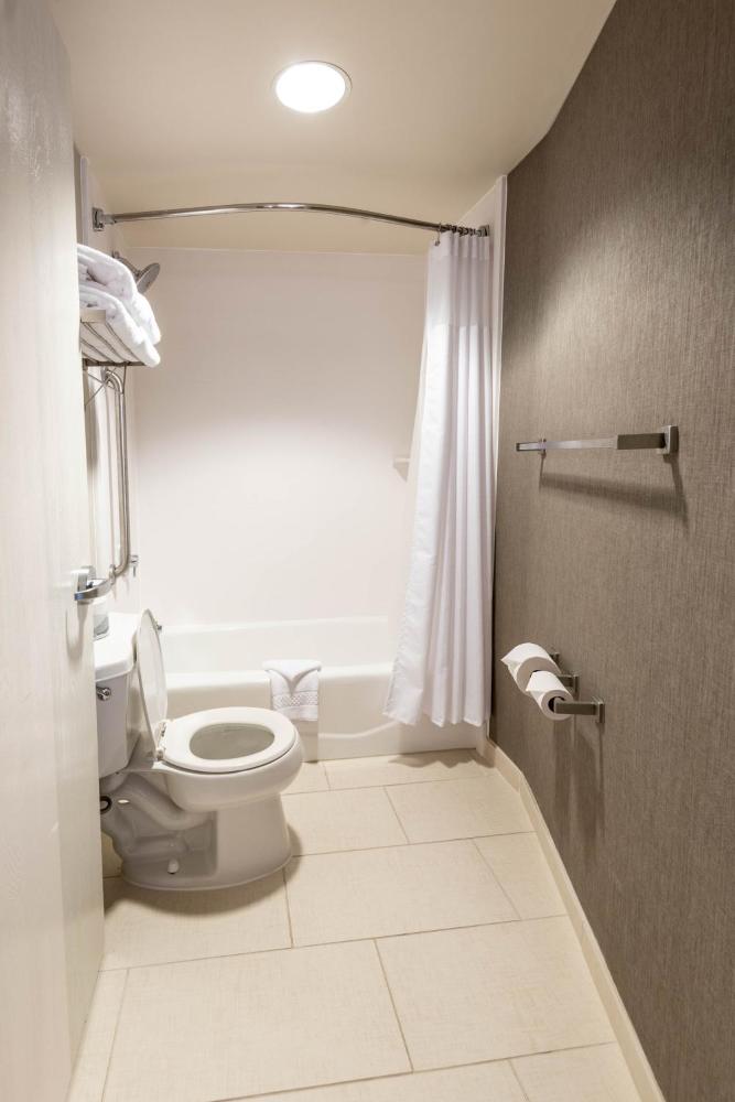 Suite, 2 Queen, Sofa bed interior